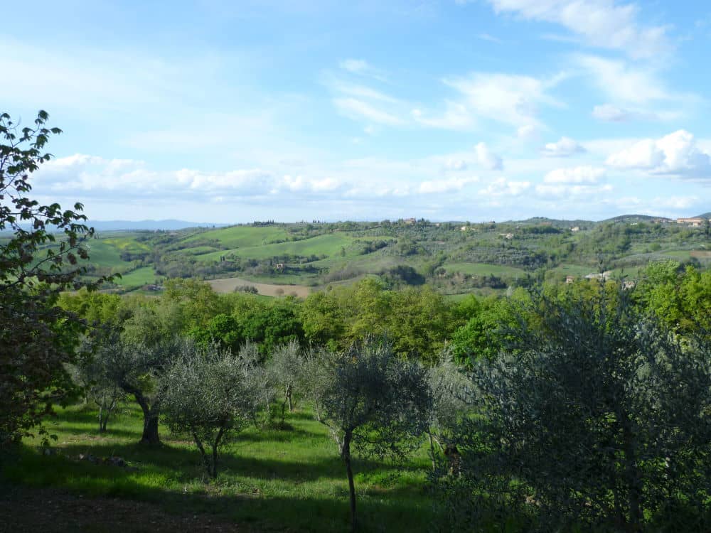 Landschap Toscane